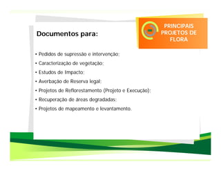 PRINCIPAIS
Documentos para:                                      PROJETOS DE
                                                         FLORA

• Pedidos de supressão e intervenção;
• Caracterização de vegetação;
• Estudos de Impacto;
• Averbação de Reserva legal;
• Projetos de Reflorestamento (Projeto e Execução);
• Recuperação de áreas degradadas;
• Projetos de mapeamento e levantamento.
 