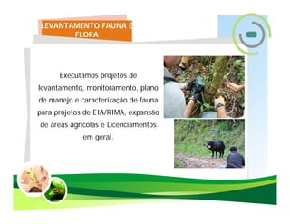 LEVANTAMENTO FAUNA E
       FLORA




      Executamos projetos de
levantamento, monitoramento, plano
de manejo e caracterização de fauna
para projetos de EIA/RIMA, expansão
de áreas agrícolas e Licenciamentos
             em geral.
 