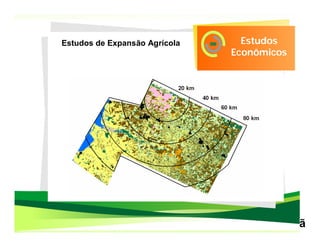 Estudos de Expansão Agrícola            Estudos
                                      Econômicos




                               10 metros de resolução
 