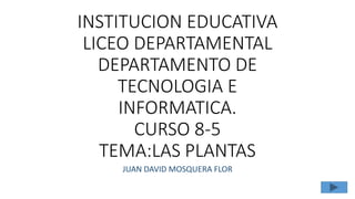 INSTITUCION EDUCATIVA
LICEO DEPARTAMENTAL
DEPARTAMENTO DE
TECNOLOGIA E
INFORMATICA.
CURSO 8-5
TEMA:LAS PLANTAS
JUAN DAVID MOSQUERA FLOR
 