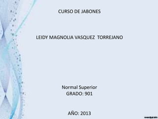 CURSO DE JABONES
LEIDY MAGNOLIA VASQUEZ TORREJANO
Normal Superior
GRADO: 901
AÑO: 2013
 