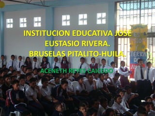 INSTITUCION EDUCATIVA JOSE
      EUSTASIO RIVERA.
  BRUSELAS PITALITO-HUILA.
    ACENETH REYES CAICEDO.
 