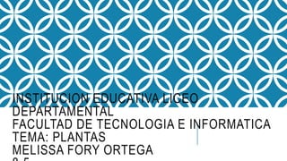 INSTITUCION EDUCATIVA LICEO
DEPARTAMENTAL
FACULTAD DE TECNOLOGIA E INFORMATICA
TEMA: PLANTAS
MELISSA FORY ORTEGA
 