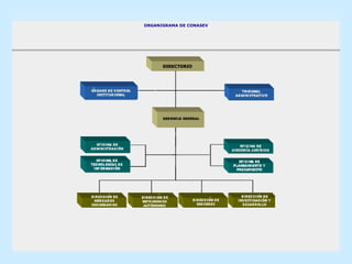 ORGANIGRAMA DE CONASEV                                                                                                                                                        