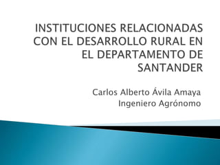 Carlos Alberto Ávila Amaya
Ingeniero Agrónomo
 