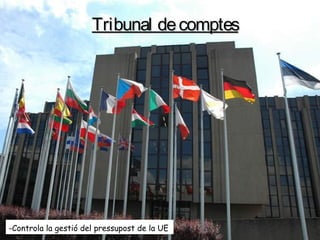 Tribunal decomptesTribunal decomptes
-Controla la gestió del pressupost de la UE
 