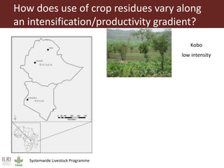 Feeding research and feeding innovation