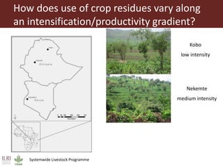 Feeding research and feeding innovation