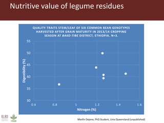Feeding research and feeding innovation