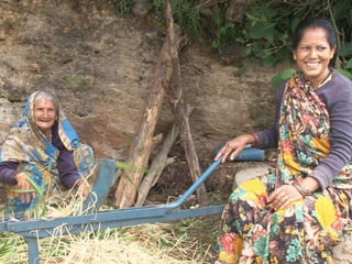 Feeding research and feeding innovation