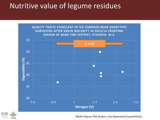 Feeding research and feeding innovation