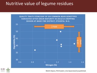 Feeding research and feeding innovation