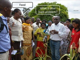 Feeding research and feeding innovation