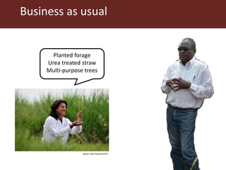 Feeding research and feeding innovation