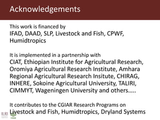 Feeding research and feeding innovation