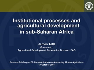 Institutional processes and agricultural development in sub-Saharan Africa