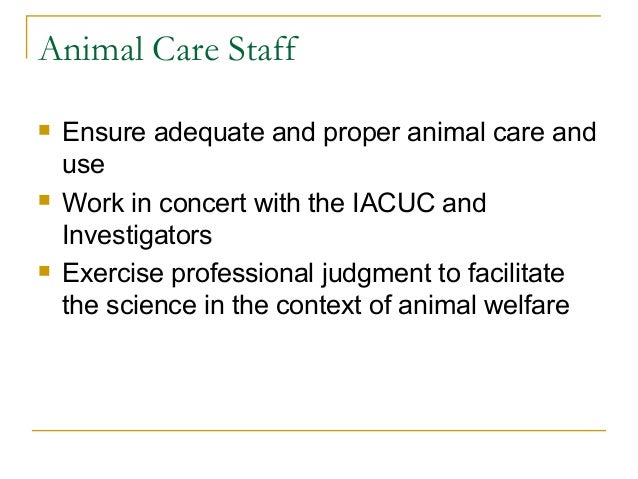 Institutional Animal Care and Use Committee (IACUC)