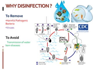 WHYDISINFECTION?
To Remove
•Harmful Pathogenic
Bacteria
•Viruses
To Avoid
Transmission of water
born diseases
 