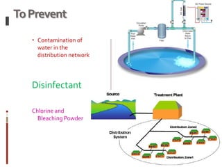 ToPrevent
 Contamination of
water in the
distribution network
Disinfectant
Chlorine and
Bleaching Powder
 