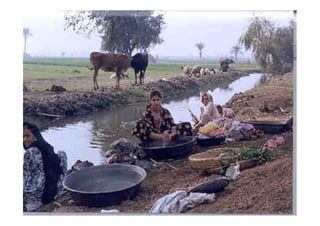 INTERNATIONAL FOOD POLICY RESEARCH INSTITUTE   Page 17
 