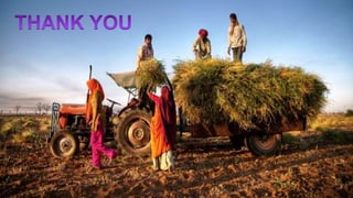 Institutions for agricultural marketing