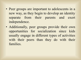 Institutions of socializations | PPTX