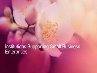 Institutions Supporting Small Business
Enterprises
 