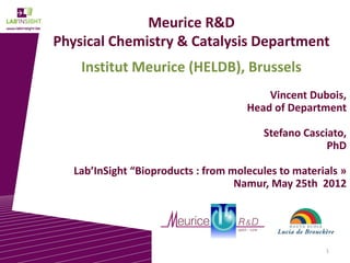 1
Meurice R&D
Physical Chemistry & Catalysis Department
Institut Meurice (HELDB), Brussels
Vincent Dubois,
Head of Department
Stefano Casciato,
PhD
Lab’InSight “Bioproducts : from molecules to materials »
Namur, May 25th 2012
 