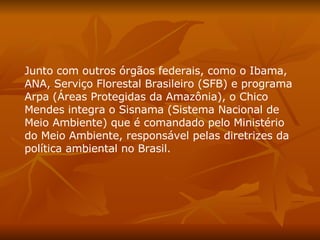 Junto com outros órgãos federais, como o Ibama, ANA, Serviço Florestal Brasileiro (SFB) e programa Arpa (Áreas Protegidas da Amazônia), o Chico Mendes integra o Sisnama (Sistema Nacional de Meio Ambiente) que é comandado pelo Ministério do Meio Ambiente, responsável pelas diretrizes da política ambiental no Brasil.  
