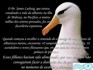 Quando começou a recolher o conteúdo do estômago de oito filhotes de albatrozes mortos, encontrou: 42 tampinhas plásticas de garrafa, 18 acendedores e restos flutuantes que, em sua maioria, eram pequenos pedaços de plástico.   O Dr. James Ludwig, que estava estudando a vida do albatroz na ilha de Midway, no Pacífico, a muitas milhas dos centros povoados, fez uma descoberta espantosa. Esses filhotes haviam sido alimentados por seus pais que não conseguiram fazer a distinção dos desperdícios no momento de escolher o alimento. 