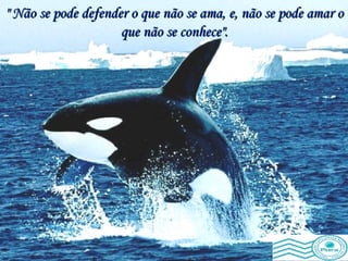 " Não se pode defender o que não se ama, e, não se pode amar o que não se conhece". 