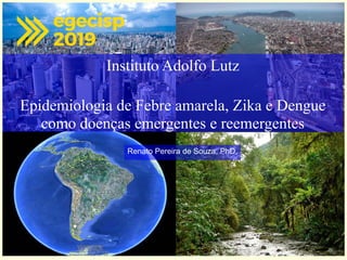 Renato Pereira de Souza, PhD.
Instituto Adolfo Lutz
Epidemiologia de Febre amarela, Zika e Dengue
como doenças emergentes e reemergentes
 