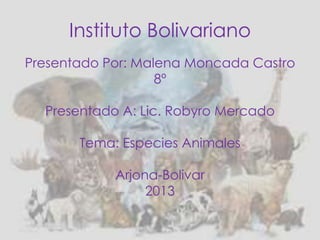 Instituto Bolivariano
Presentado Por: Malena Moncada Castro
8º
Presentado A: Lic. Robyro Mercado
Tema: Especies Animales
Arjona-Bolivar
2013
 