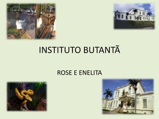 INSTITUTO BUTANTÃ
ROSE E ENELITA
 