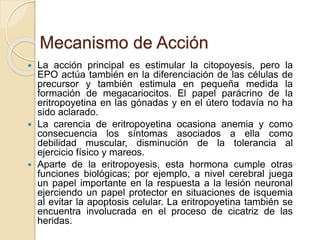 Mecanismo de Acción
 La acción principal es estimular la citopoyesis, pero la
EPO actúa también en la diferenciación de las células de
precursor y también estimula en pequeña medida la
formación de megacariocitos. El papel parácrino de la
eritropoyetina en las gónadas y en el útero todavía no ha
sido aclarado.
 La carencia de eritropoyetina ocasiona anemia y como
consecuencia los síntomas asociados a ella como
debilidad muscular, disminución de la tolerancia al
ejercicio físico y mareos.
 Aparte de la eritropoyesis, esta hormona cumple otras
funciones biológicas; por ejemplo, a nivel cerebral juega
un papel importante en la respuesta a la lesión neuronal
ejerciendo un papel protector en situaciones de isquemia
al evitar la apoptosis celular. La eritropoyetina también se
encuentra involucrada en el proceso de cicatriz de las
heridas.
 