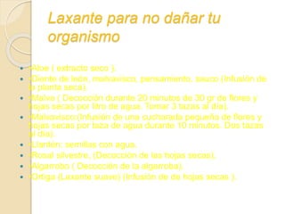  •Aloe ( extracto seco ).
 •Diente de león, malvavisco, pensamiento, sauco (Infusión de
la planta seca).
 •Malva ( Decocción durante 20 minutos de 30 gr de flores y
hojas secas por litro de agua. Tomar 3 tazas al día).
 •Malvavisco:(Infusión de una cucharada pequeña de flores y
hojas secas por taza de agua durante 10 minutos. Dos tazas
al día).
 •Llantén: semillas con agua.
 •Rosal silvestre, (Decocción de las hojas secas).
 •Algarrobo ( Decocción de la algarroba).
 •Ortiga (Laxante suave) (Infusión de de hojas secas ).
Laxante para no dañar tu
organismo
 