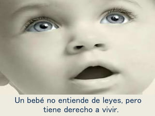 Un bebé no entiende de leyes, pero
tiene derecho a vivir.
 