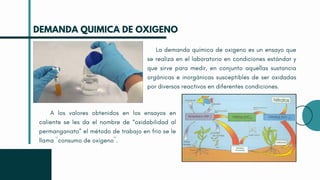 La demanda química de oxigeno es un ensayo que
se realiza en el laboratorio en condiciones estándar y
que sirve para medir, en conjunto aquellas sustancia
orgánicas e inorgánicas susceptibles de ser oxidadas
por diversos reactivos en diferentes condiciones.
DEMANDA QUIMICA DE OXIGENO
A los valores obtenidos en los ensayos en
caliente se les da el nombre de “oxidabilidad al
permanganato” el método de trabajo en frio se le
llama ``consumo de oxígeno´´.
 