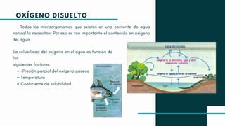 Todos los microorganismos que existen en una corriente de agua
natural lo necesitan. Por eso es tan importante el contenido en oxigeno
del agua
-Presión parcial del oxígeno gaseoso
Temperatura
Coeficiente de solubilidad
La solubilidad del oxígeno en el agua es función de
los
siguientes factores:
OXÍGENO DISUELTO
 