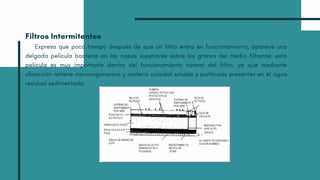 Filtros Intermitentes
Expresa que poco tiempo después de que un filtro entra en funcionamiento, aparece una
delgada película bacteria en las capas superiores sobre los granos del medio filtrante; esta
película es muy importante dentro del funcionamiento normal del filtro, ya que mediante
absorción retiene microorganismos y materia coloidal soluble y partículas presentes en el agua
residual sedimentada.
 