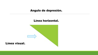 Angulo de depresión.
Línea horizontal.
Línea visual.
 