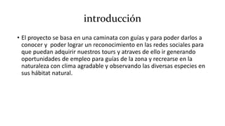 introducción
• El proyecto se basa en una caminata con guías y para poder darlos a
conocer y poder lograr un reconocimiento en las redes sociales para
que puedan adquirir nuestros tours y atraves de ello ir generando
oportunidades de empleo para guías de la zona y recrearse en la
naturaleza con clima agradable y observando las diversas especies en
sus hábitat natural.
 