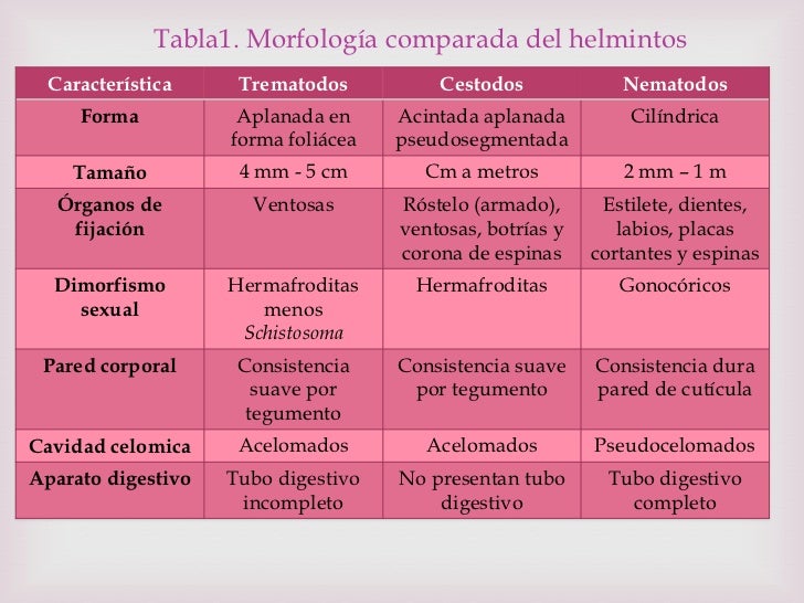 Los parásitos de la conciencia que esto