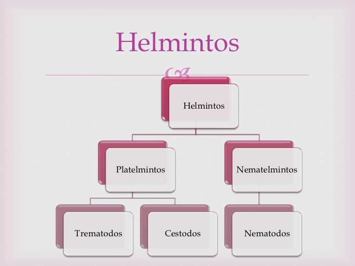 Como comen los parásitos la tabla 5 la clase la biología