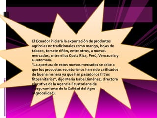 El Ecuador iniciará la exportación de productos agrícolas no tradicionales como mango, hojas de tabaco, tomate riñón, entre otros, a nuevos mercados, entre ellos Costa Rica, Perú, Venezuela y Guatemala."La apertura de estos nuevos mercados se debe a que los productos ecuatorianos han sido calificados de buena manera ya que han pasado los filtros fitosanitarios", dijo María Isabel Jiménez, directora ejecutiva de la Agencia Ecuatoriana de Aseguramiento de la Calidad del Agro (Agrocalidad).