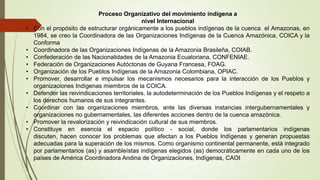 Proceso Organizativo del movimiento indígena a
nivel Internacional
• Con el propósito de estructurar orgánicamente a los pueblos indígenas de la cuenca el Amazonas, en
1984, se creo la Coordinadora de las Organizaciones Indígenas de la Cuenca Amazónica, COICA y la
Conforma
• Coordinadora de las Organizaciones Indígenas de la Amazonia Brasileña, COIAB.
• Confederación de las Nacionalidades de la Amazonia Ecuatoriana, CONFENIAE.
• Federación de Organizaciones Autóctonas de Guyana Francesa, FOAG.
• Organización de los Pueblos Indígenas de la Amazonia Colombiana, OPIAC.
• Promover, desarrollar e impulsar los mecanismos necesarios para la interacción de los Pueblos y
organizaciones Indígenas miembros de la COICA.
• Defender las reivindicaciones territoriales, la autodeterminación de los Pueblos Indígenas y el respeto a
los derechos humanos de sus integrantes.
• Coordinar con las organizaciones miembros, ante las diversas instancias intergubernamentales y
organizaciones no gubernamentales, las diferentes acciones dentro de la cuenca amazónica.
• Promover la revalorización y reivindicación cultural de sus miembros.
• Constituye en esencia el espacio político - social, donde los parlamentarios indígenas
discuten, hacen conocer los problemas que afectan a los Pueblos Indígenas y generan propuestas
adecuadas para la superación de los mismos. Como organismo continental permanente, está integrado
por parlamentarios (as) y asambleístas indígenas elegidos (as) democráticamente en cada uno de los
países de América Coordinadora Andina de Organizaciones, Indígenas, CAOI
 