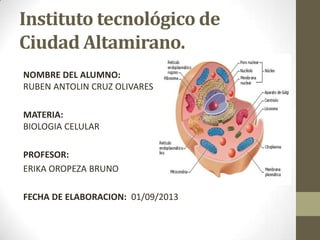 Instituto tecnológico de
Ciudad Altamirano.
NOMBRE DEL ALUMNO:
RUBEN ANTOLIN CRUZ OLIVARES
MATERIA:
BIOLOGIA CELULAR
PROFESOR:
ERIKA OROPEZA BRUNO
FECHA DE ELABORACION: 01/09/2013
 