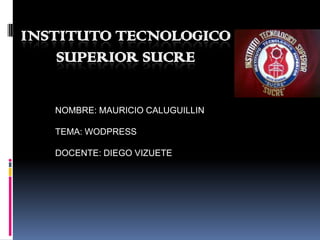INSTITUTO TECNOLOGICO
SUPERIOR SUCRE
NOMBRE: MAURICIO CALUGUILLIN
TEMA: WODPRESS
DOCENTE: DIEGO VIZUETE
 