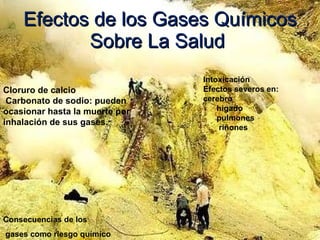 Efectos de los Gases Químicos Sobre La Salud  Consecuencias de los gases como riesgo químico Cloruro de calcio Carbonato de sodio: pueden ocasionar hasta la muerte por inhalación de sus gases.  Intoxicación Efectos severos en: cerebro hígado pulmones riñones 