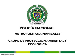 METROPOLITANA MANIZALES
GRUPO DE PROTECCIÓN AMBIENTALY
ECOLÓGICA
 